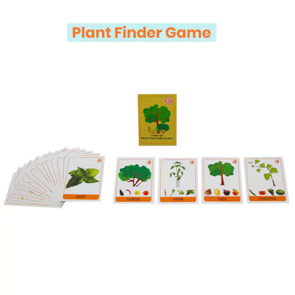 Parts of Plants – Grade 2 STEM Kit | DIY school kit
