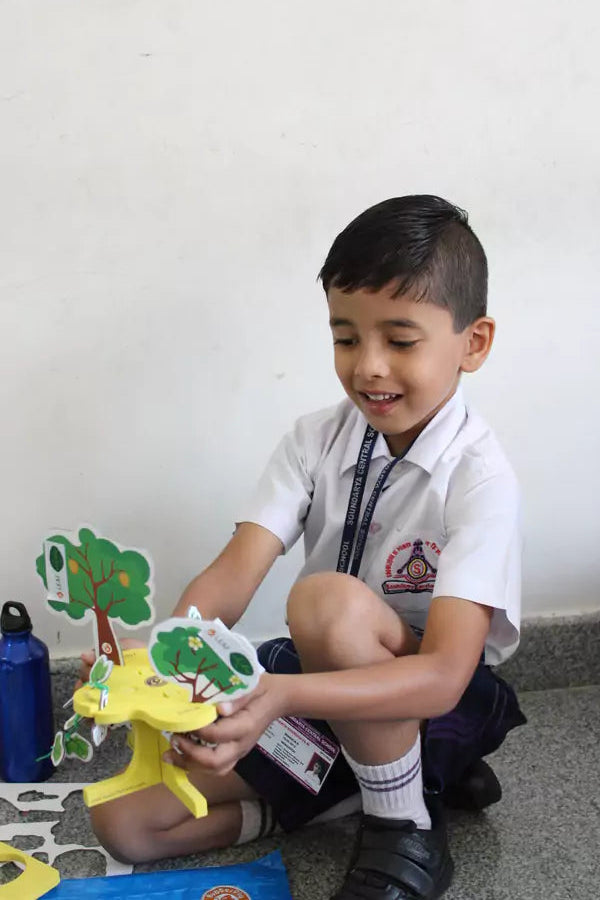 Parts of Plants – Grade 2 STEM Kit | DIY school kit