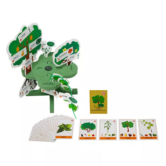 Parts of Plants – Grade 2 STEM Kit | DIY school kit